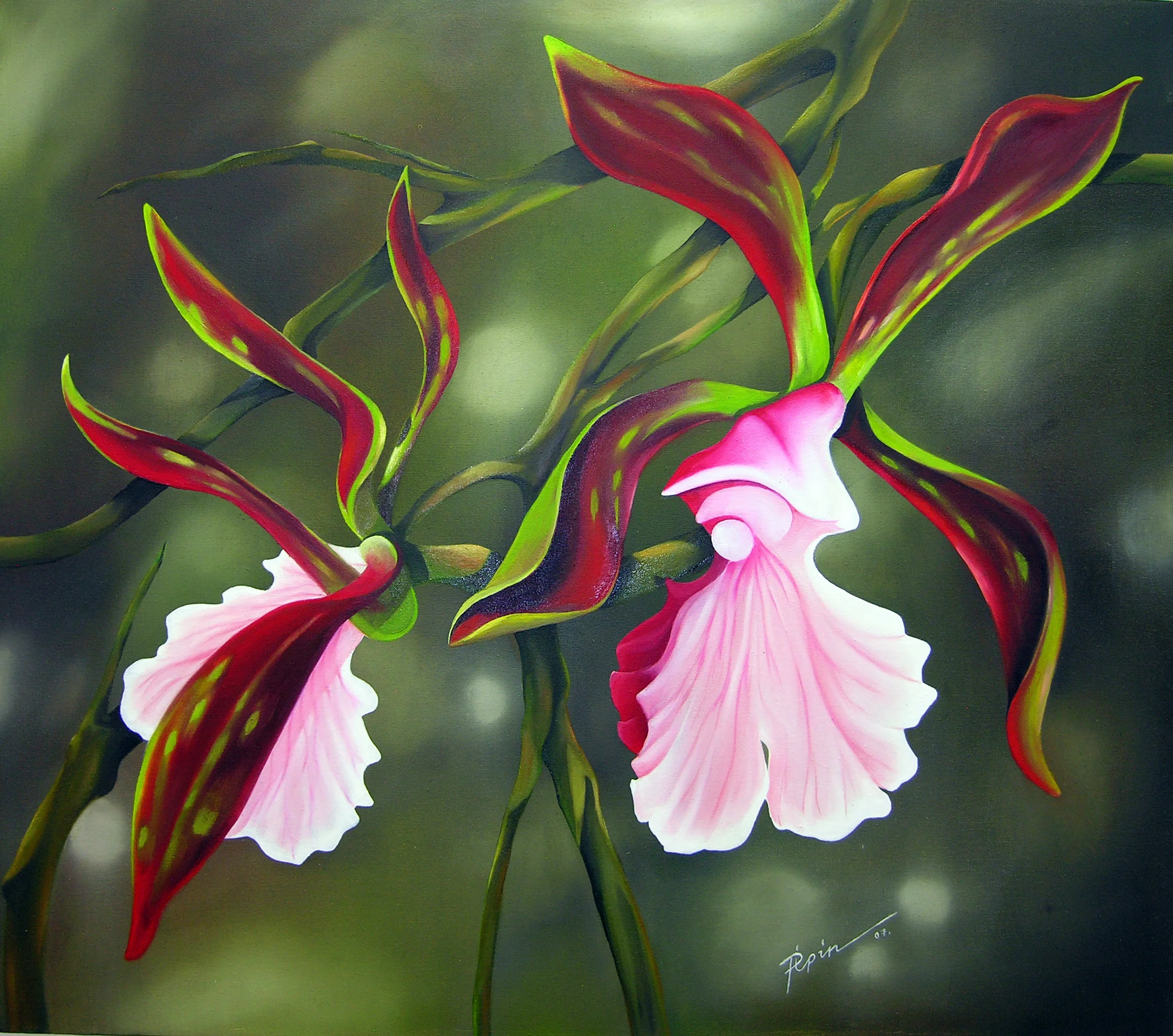 Orchidia7.jpg