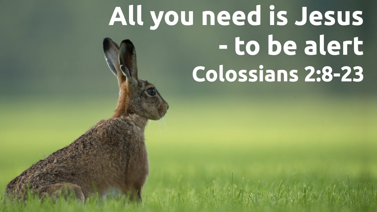 Colossians-2022-1280 x 720.007.jpeg