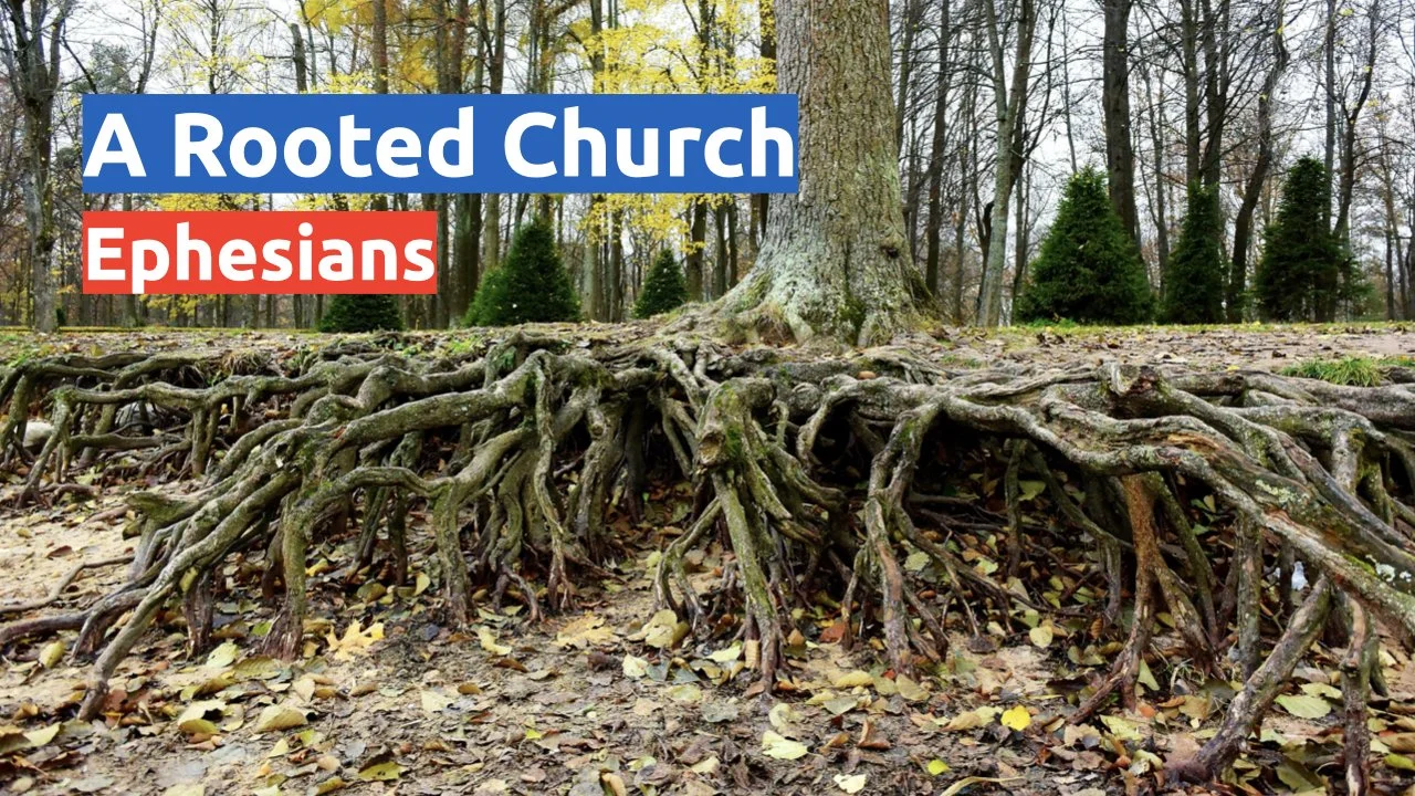 A Rooted Church -Ephesians