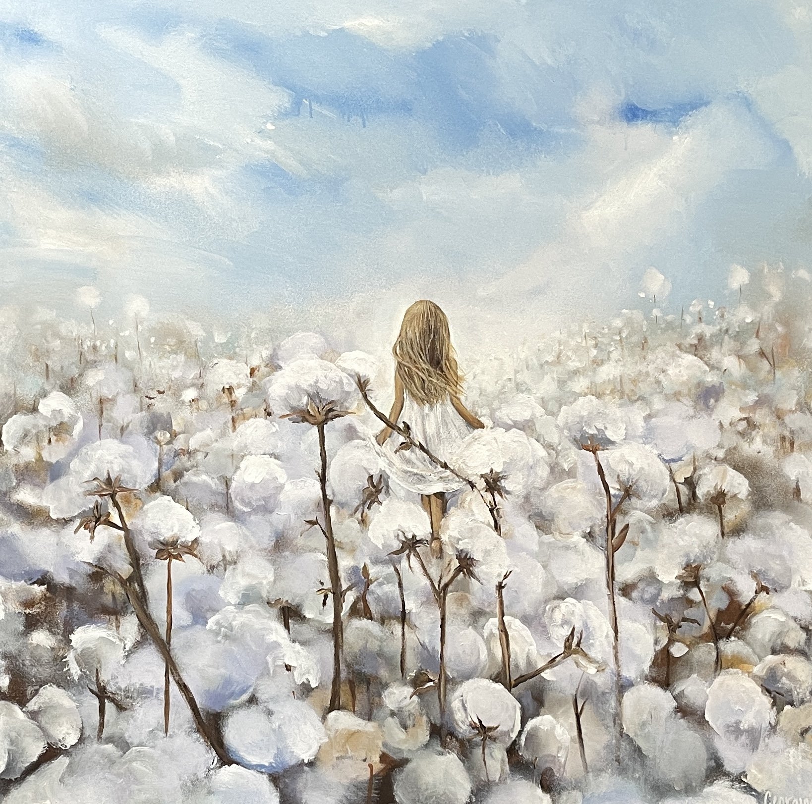 Cotton Fields.JPG