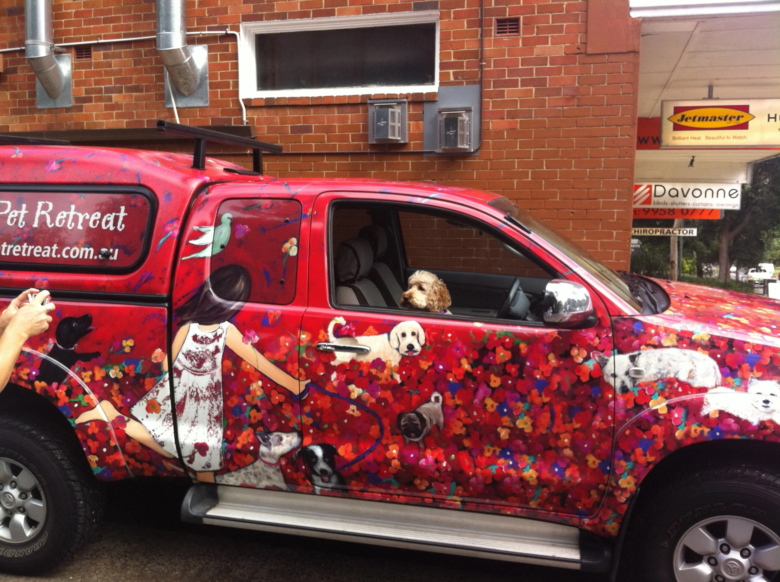 Boutique pet retreat.jpg