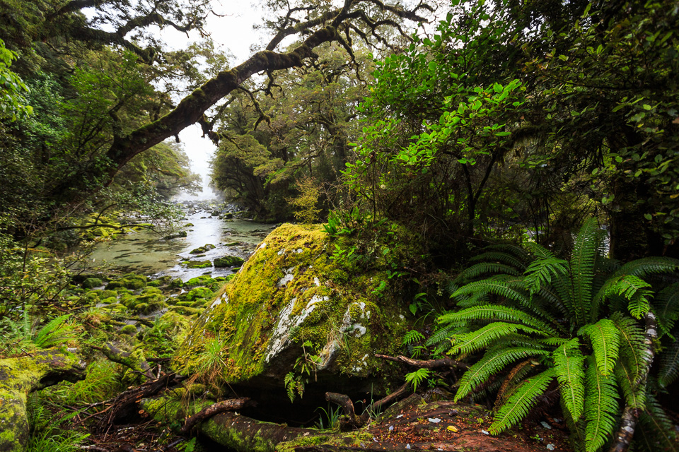 South_Island-093.jpg