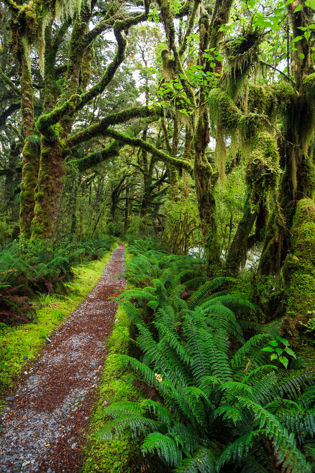 South_Island-095.jpg