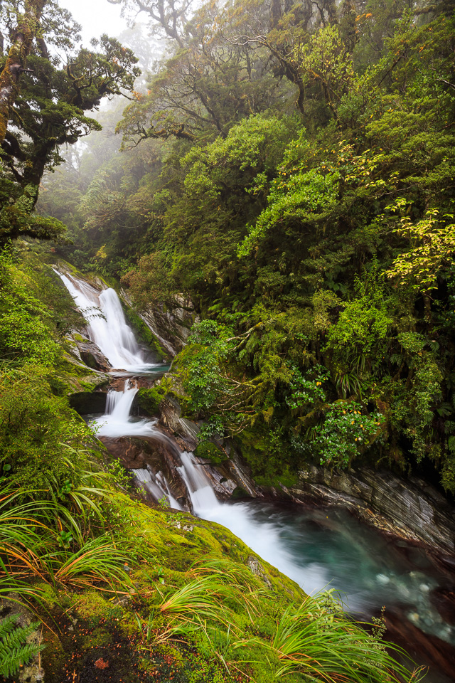 South_Island-103.jpg