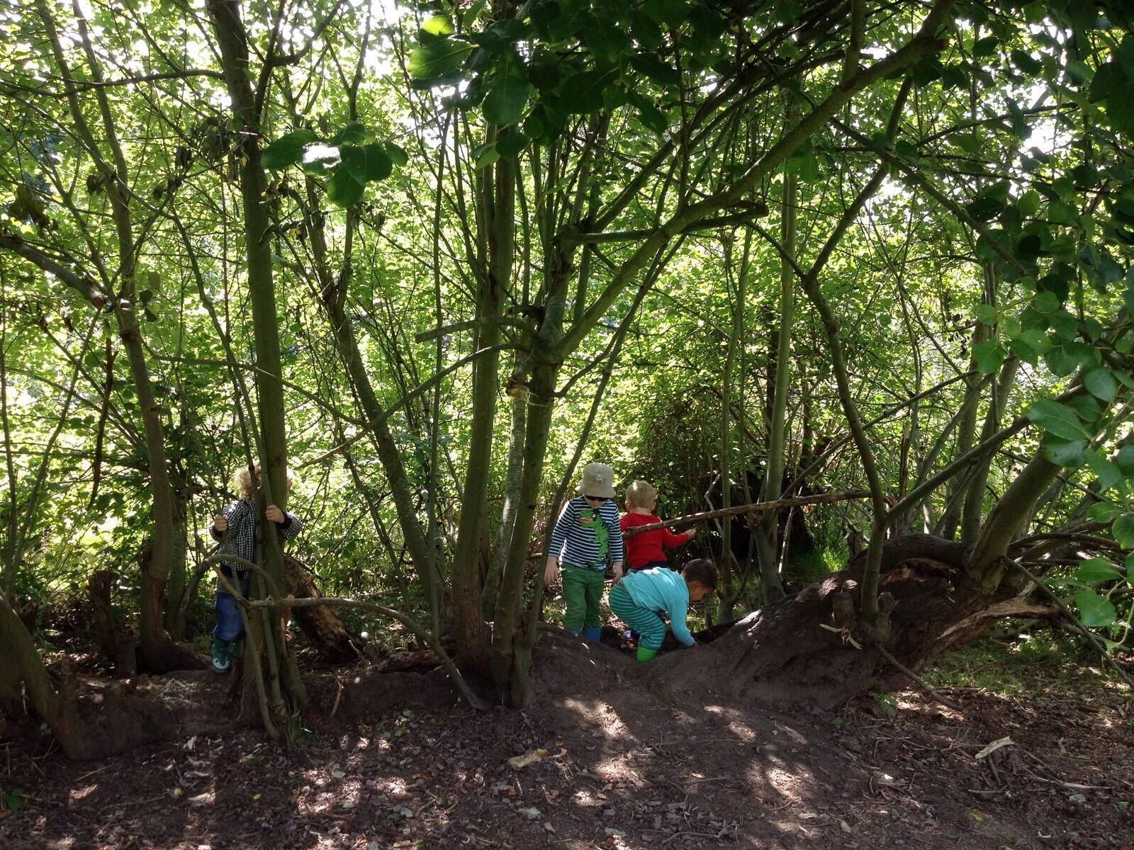 Another lovely week in the forest