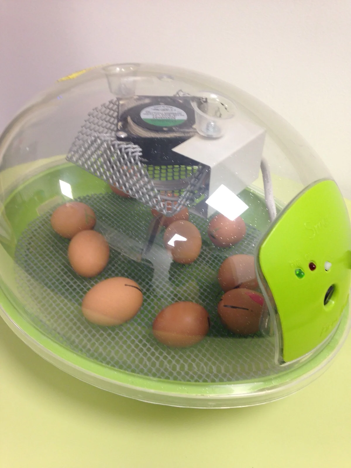Baby chicks - incubator has arrived :-)