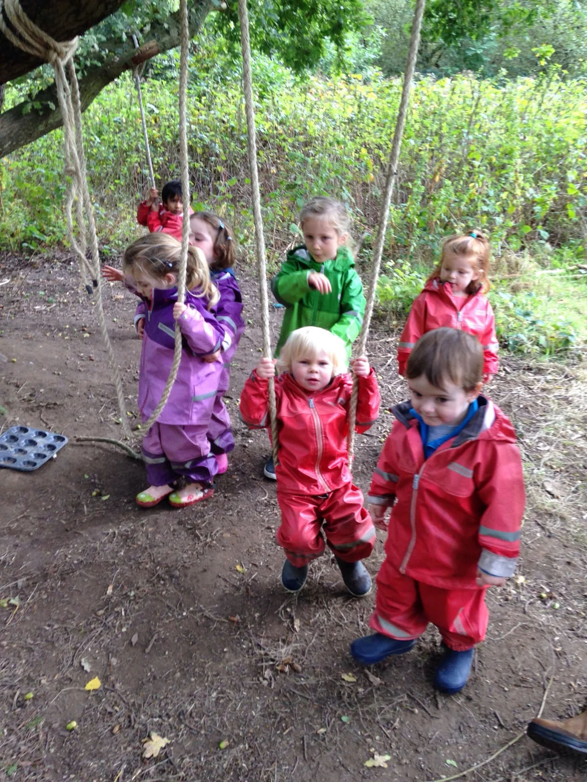 Our week in the forest