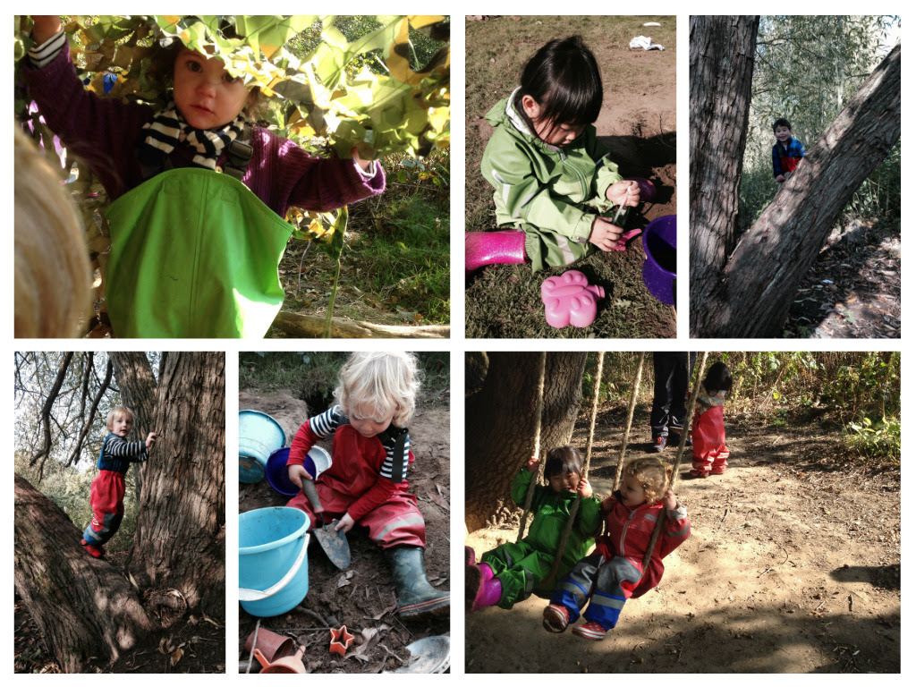 Our week in the forest