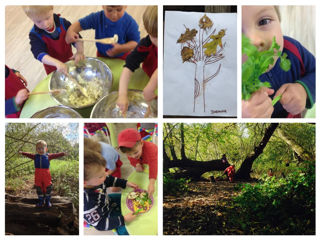 Our week in the forest