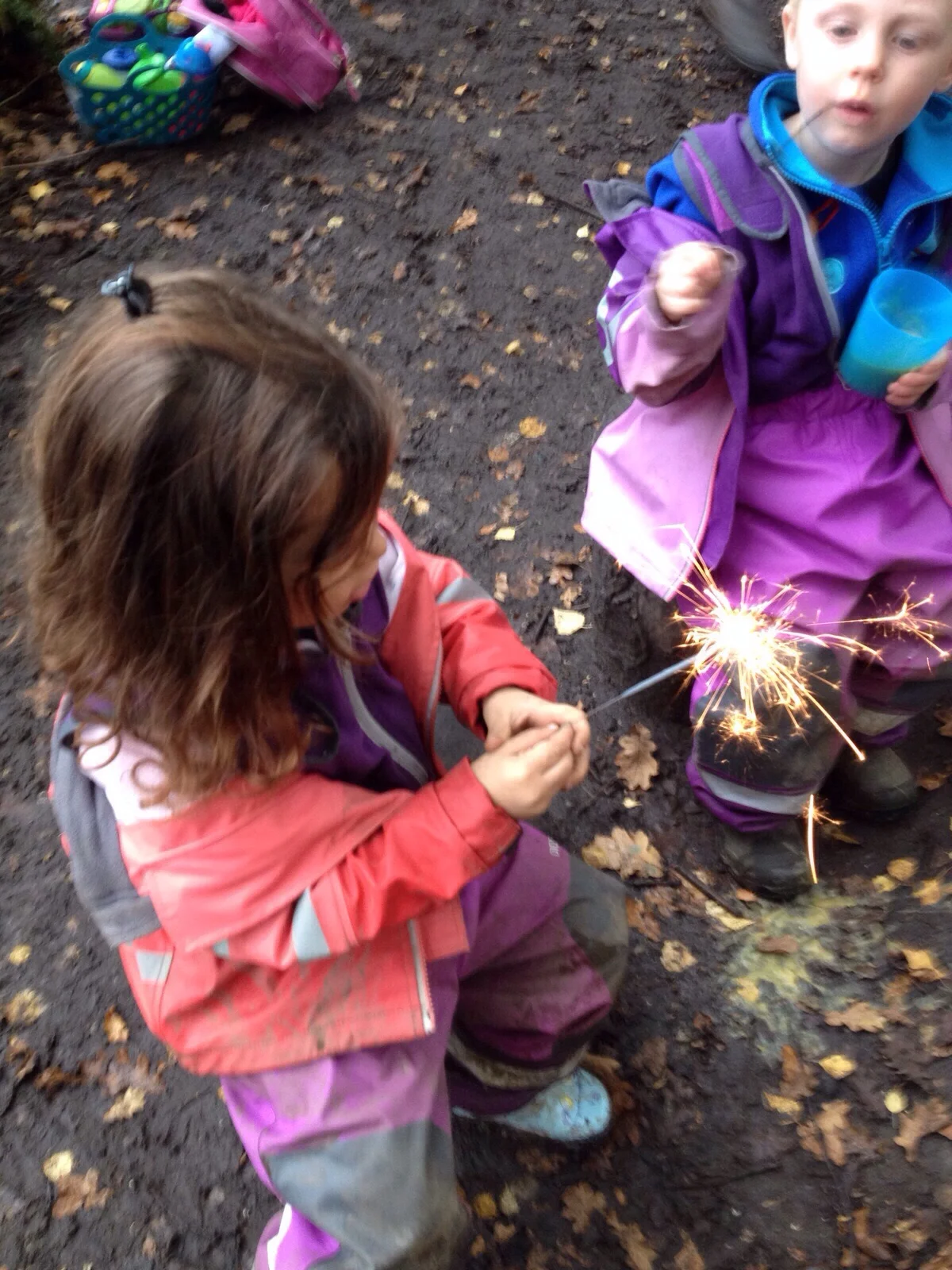 Our week in the forest