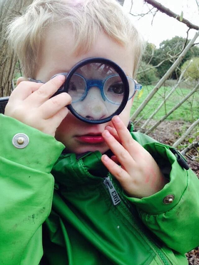 Our week in the forest