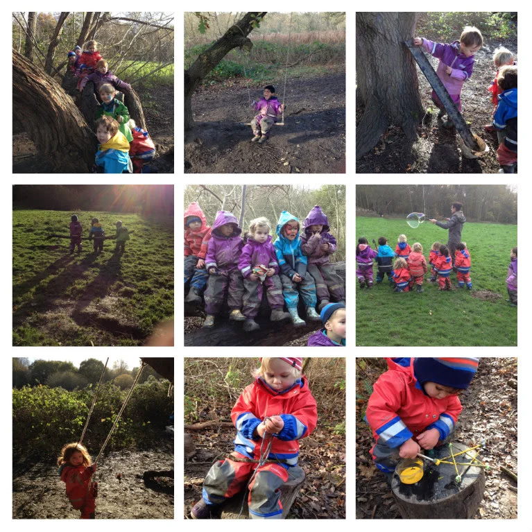 Our week in the forest