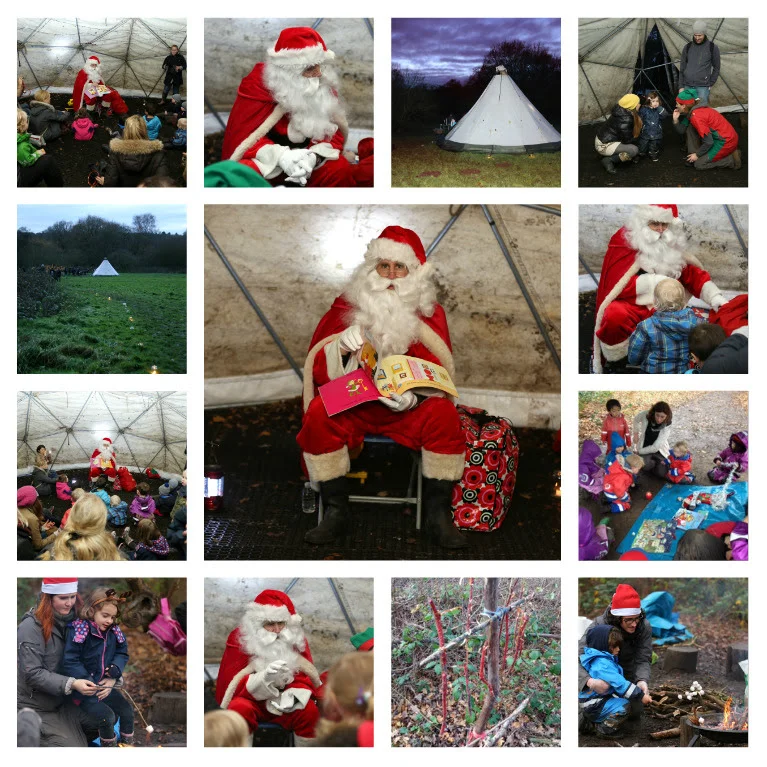 Our week in the forest