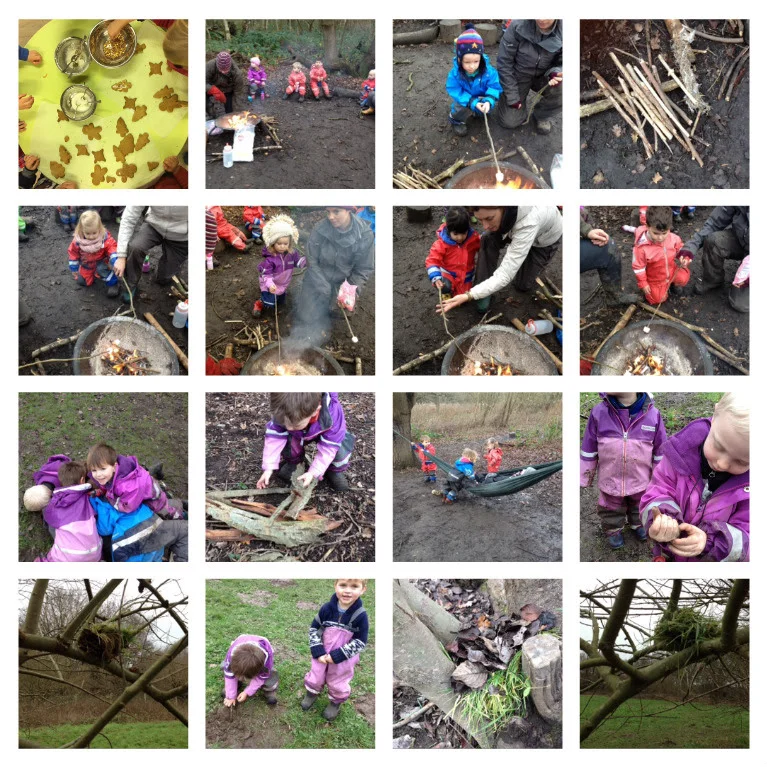 Our week in the forest