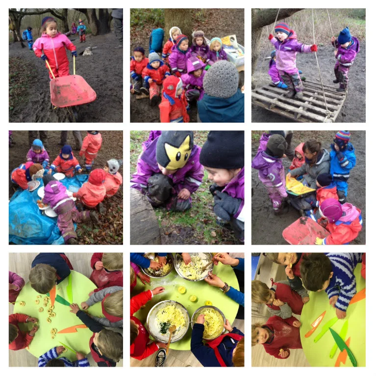 Our week in the forest