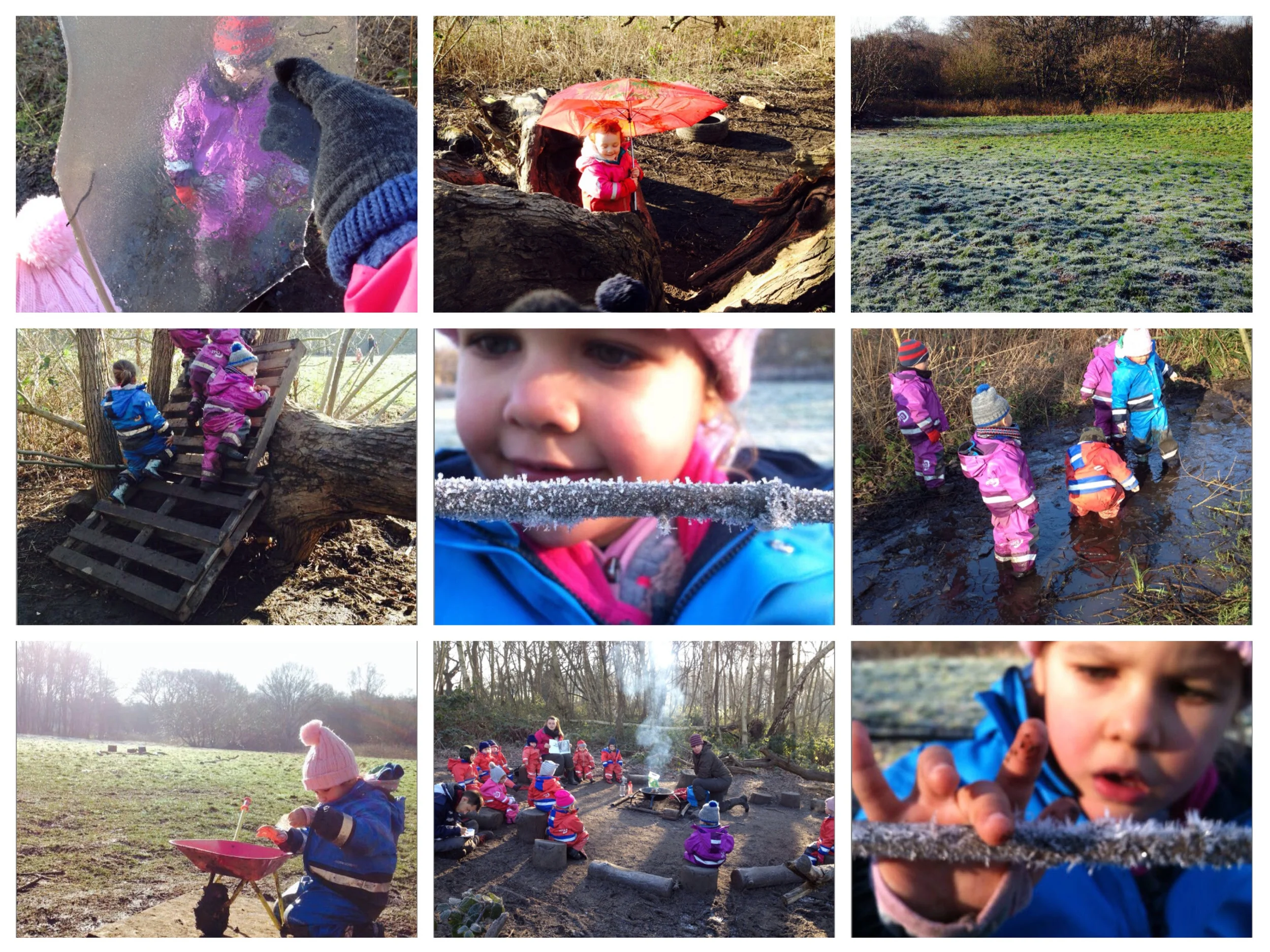 Frosty fun in the forest