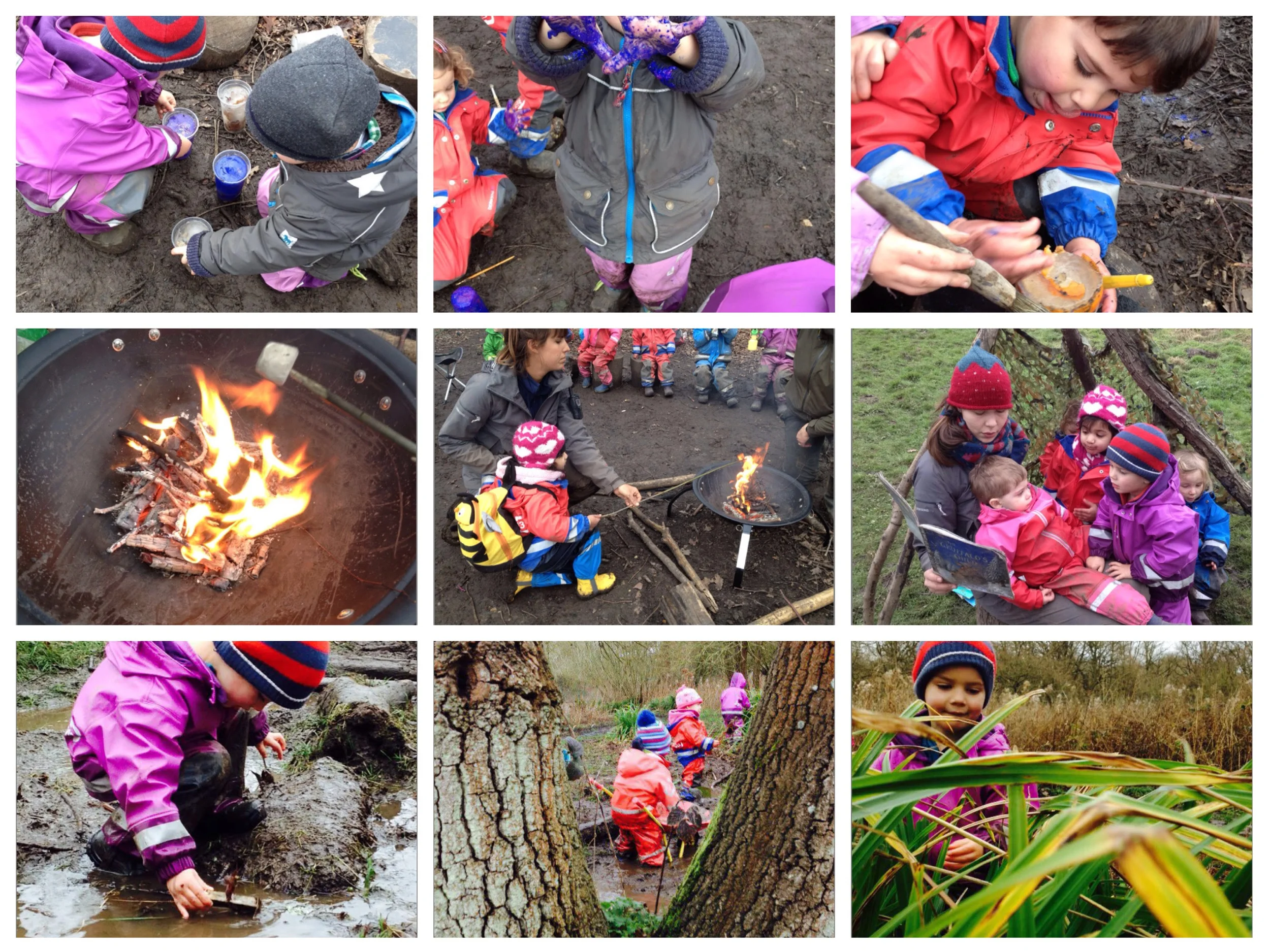 Campfire, play and stories under the trees in the forest