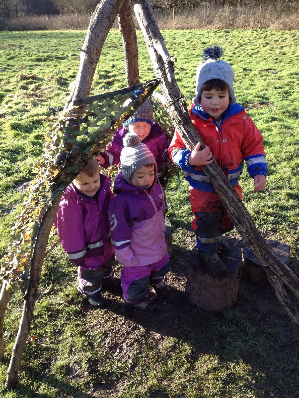 Our week in the forest - Winter sun