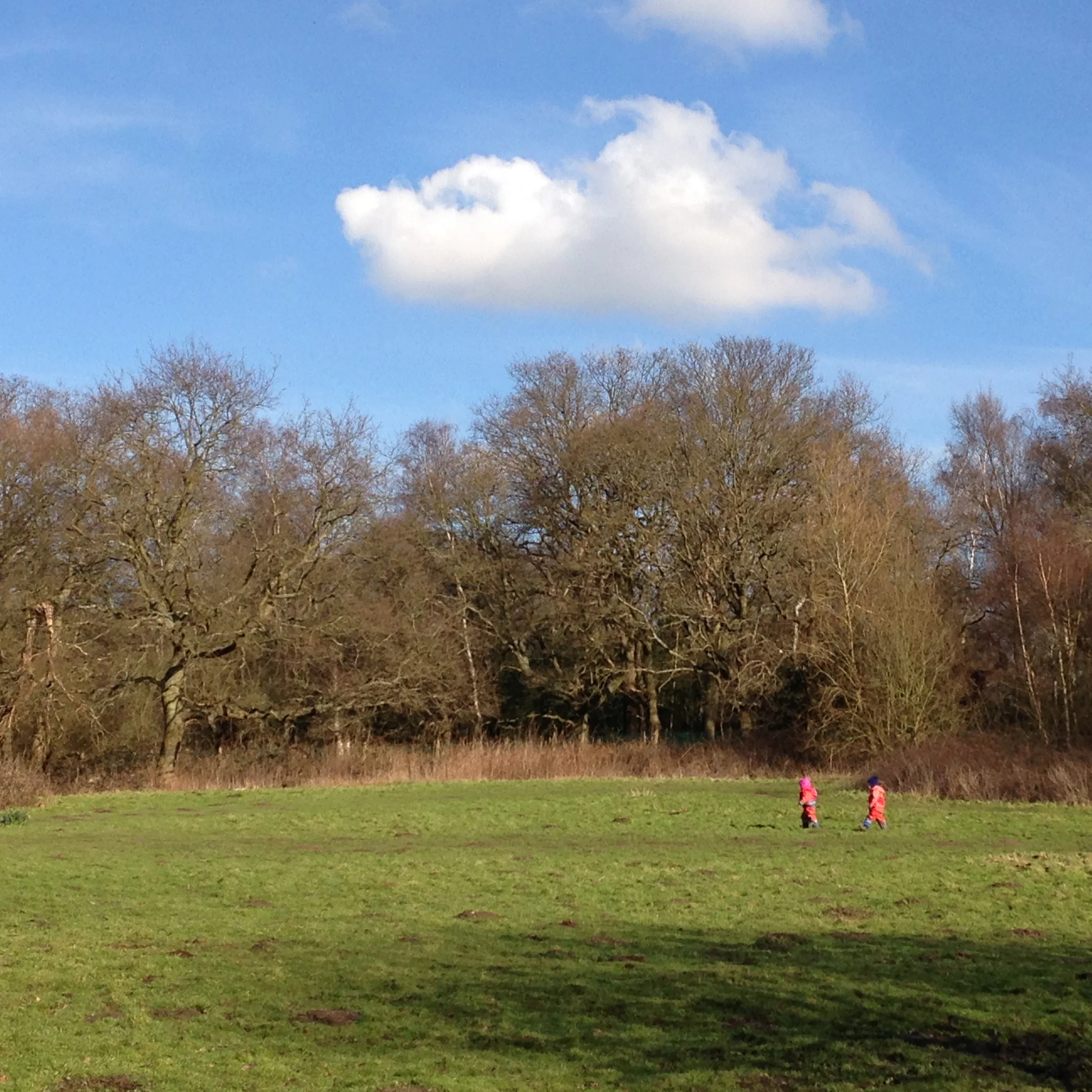 Our week in the forest - Wimbledon nursery is Outstanding!