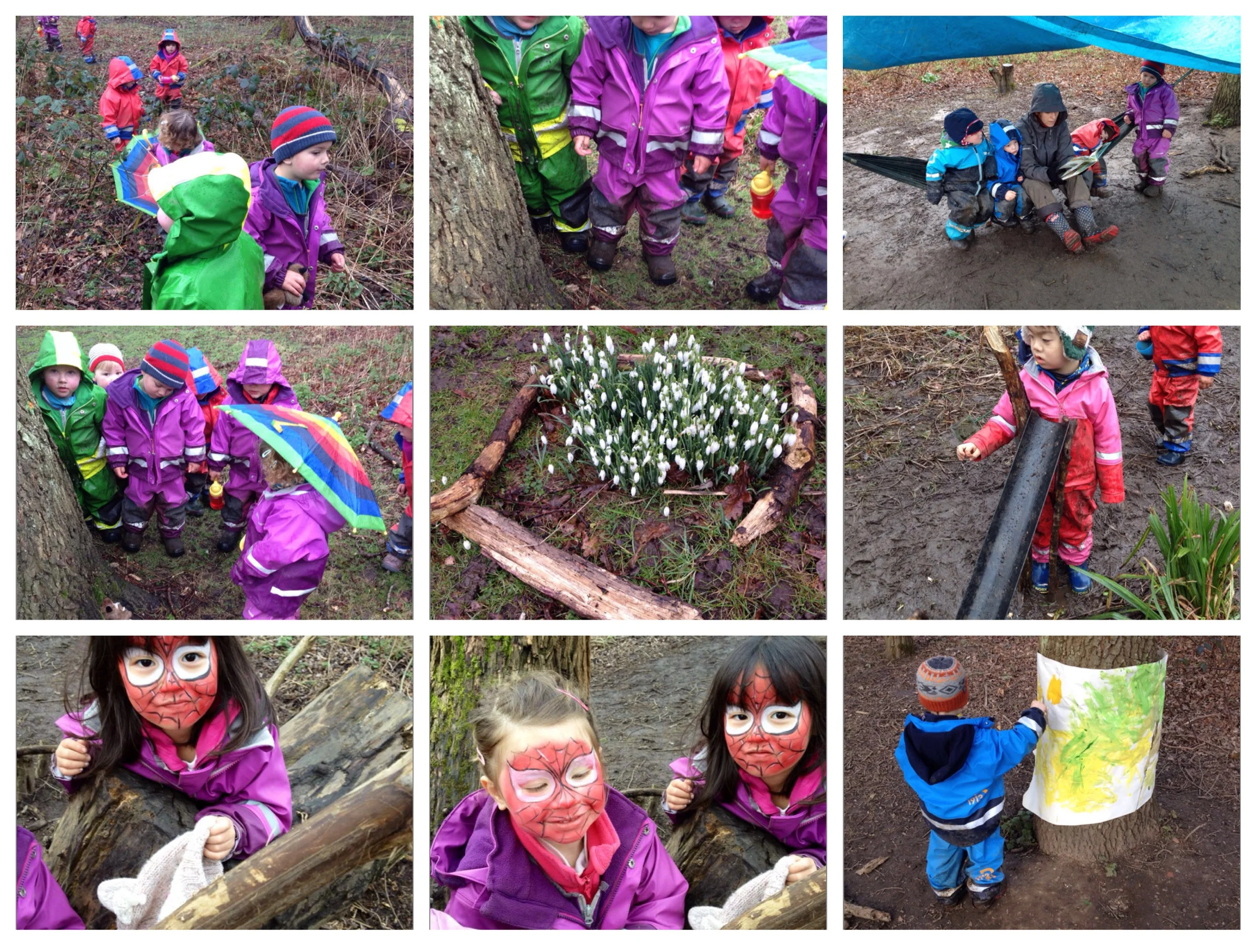 Looking for signs of spring