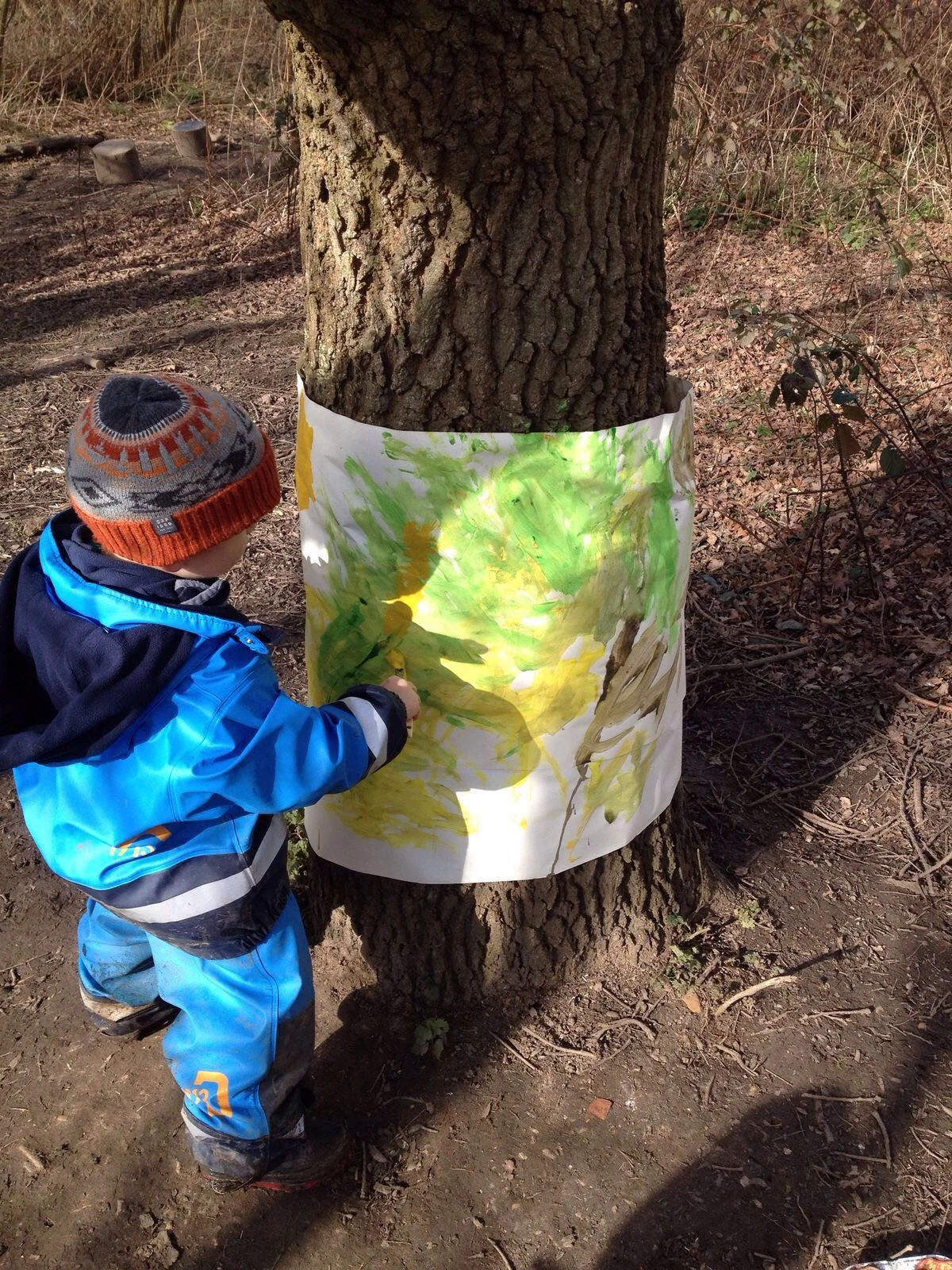Our week in the forest - signs of spring