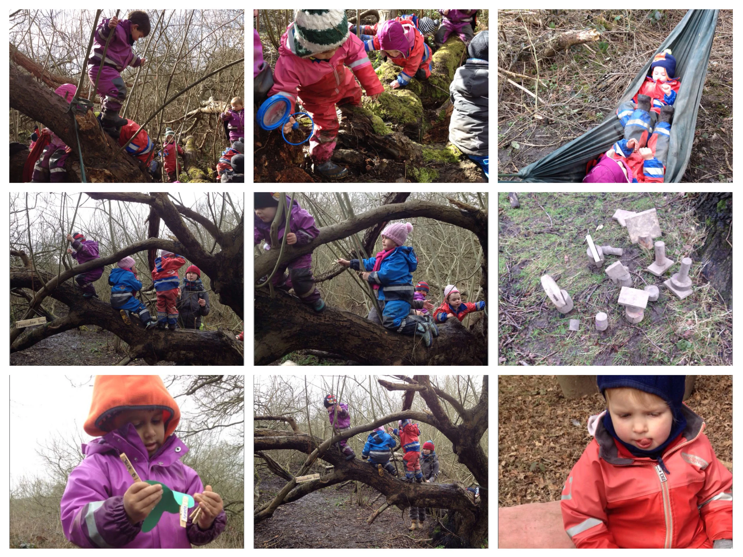 Climbing in the forest