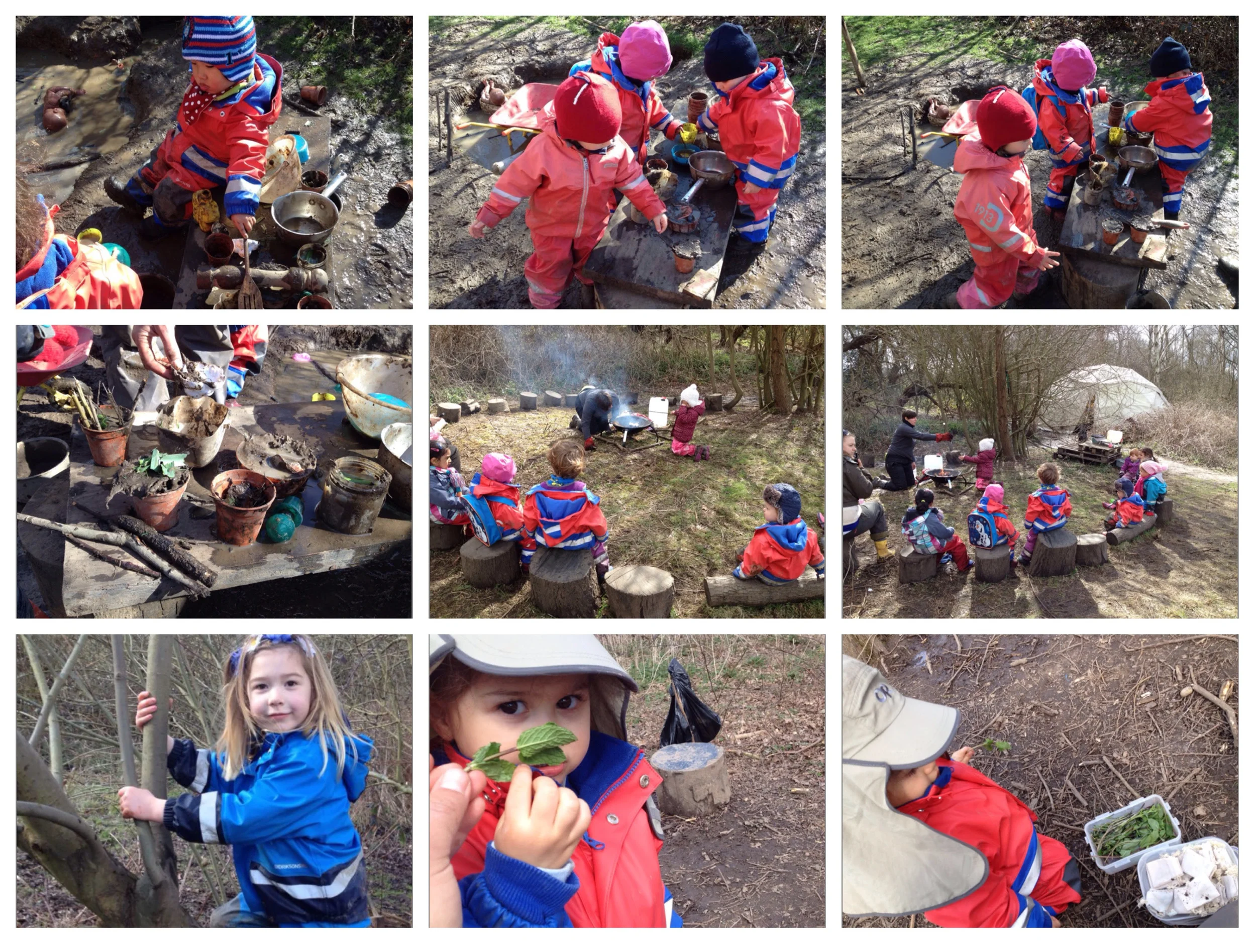 Sensory fun in the forest