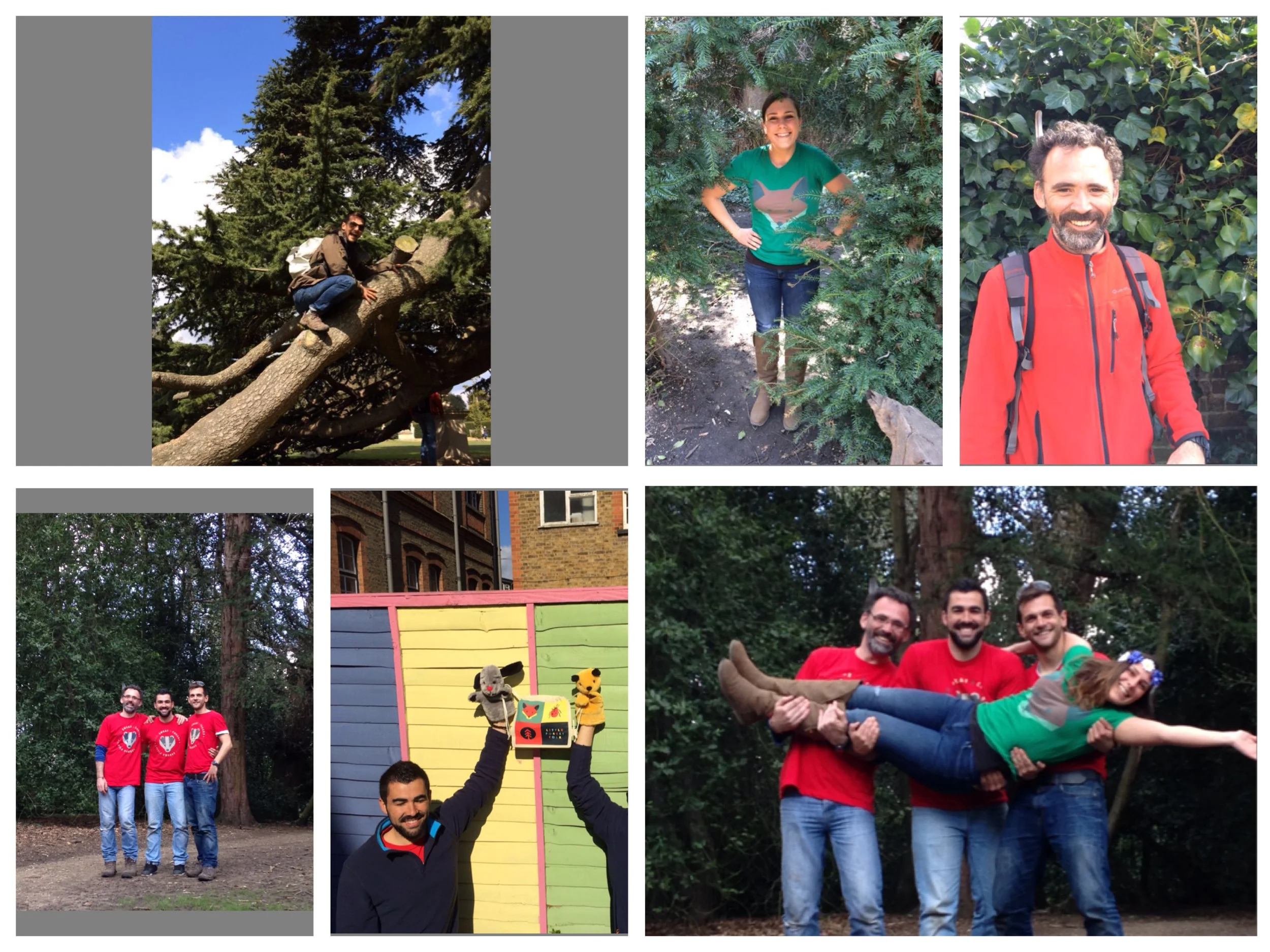 Meet the Chiswick team - Big Little Forest Folk ;-)