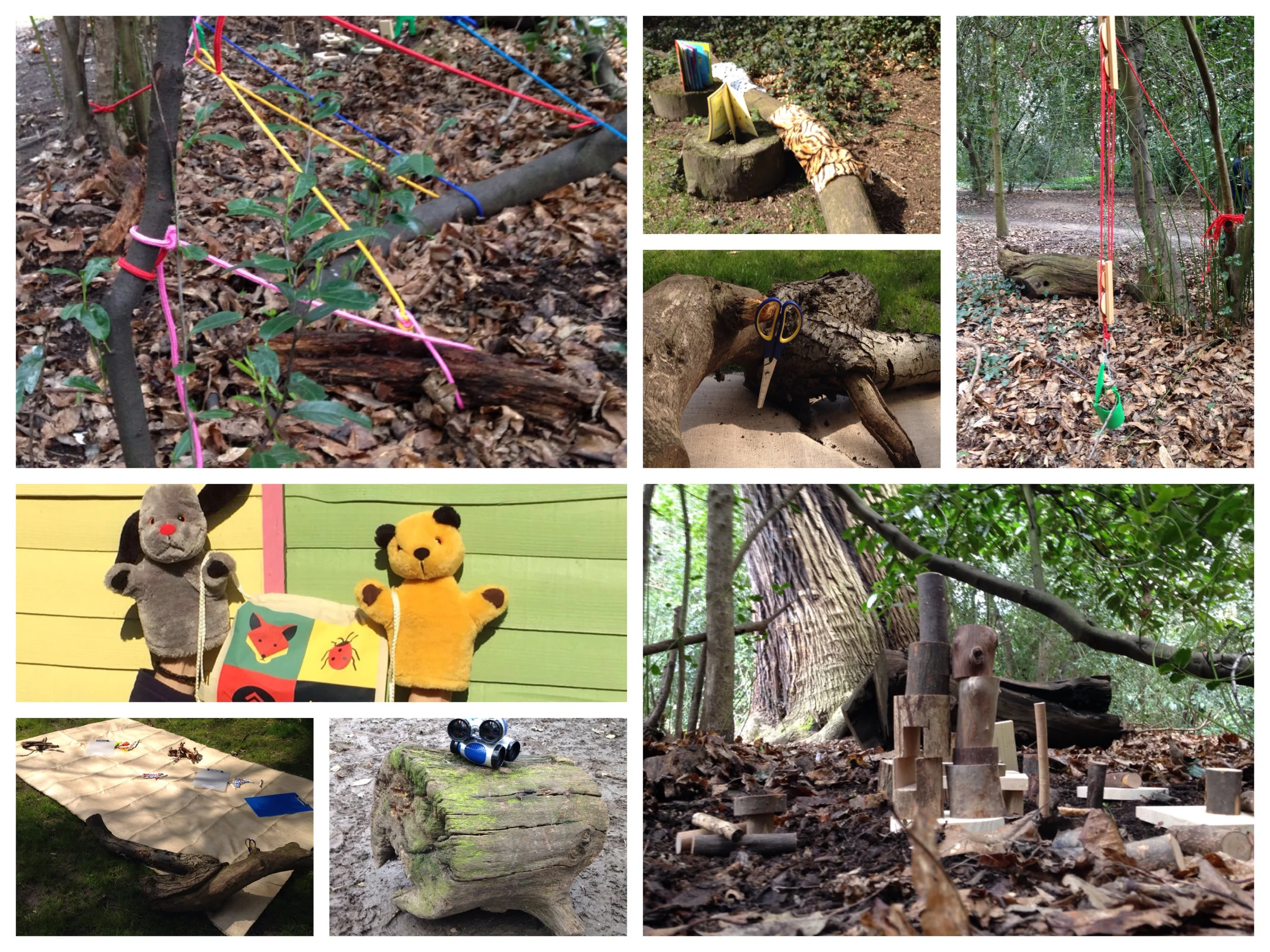 The Big Little Forest Folk had a lot of fun today scoping the site