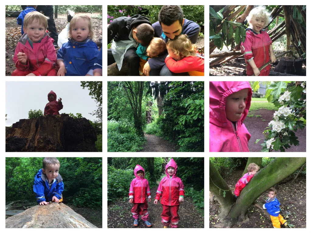 Fun and friendship in the forest