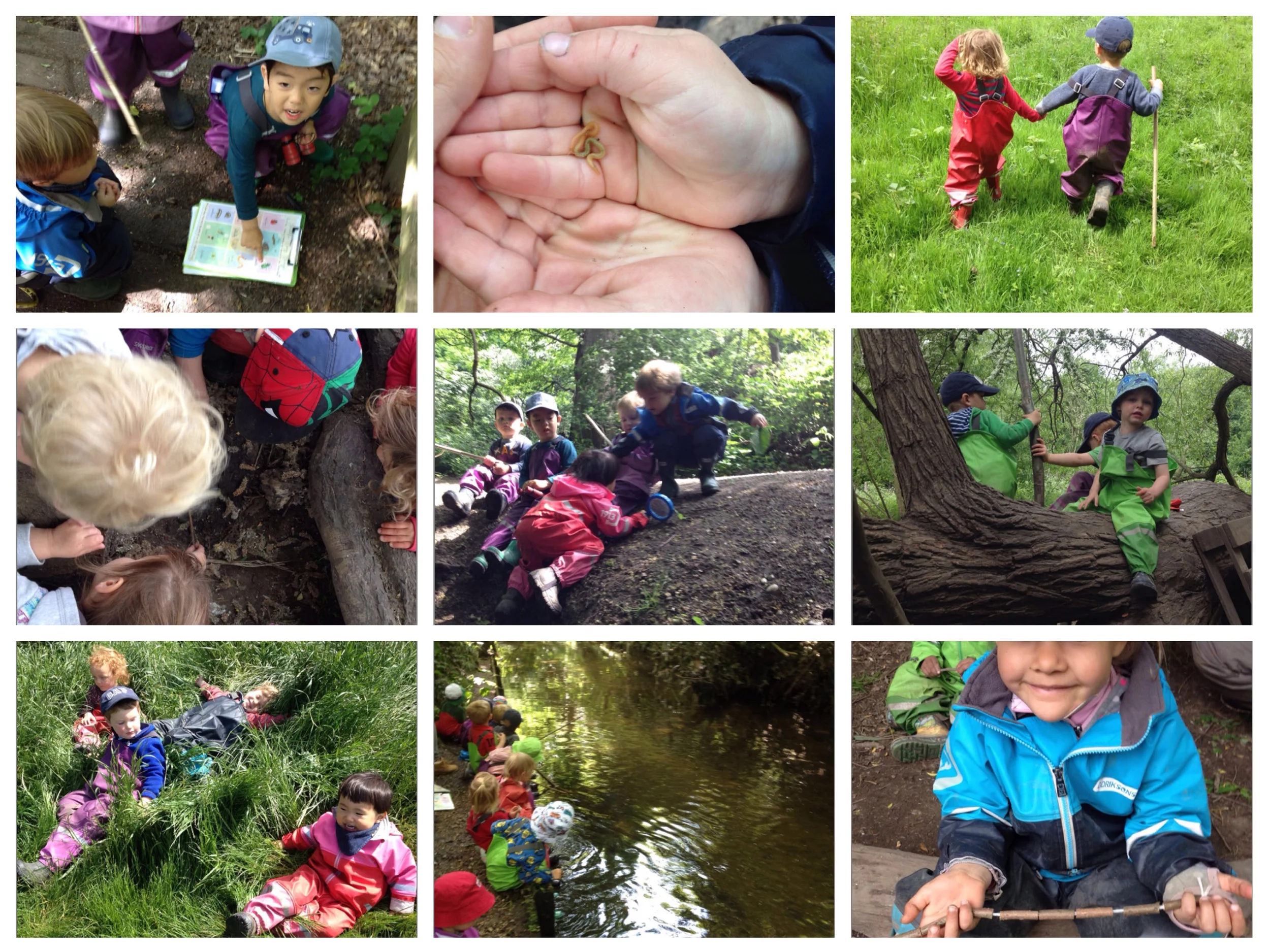 Wimbledon - Mini beasts!