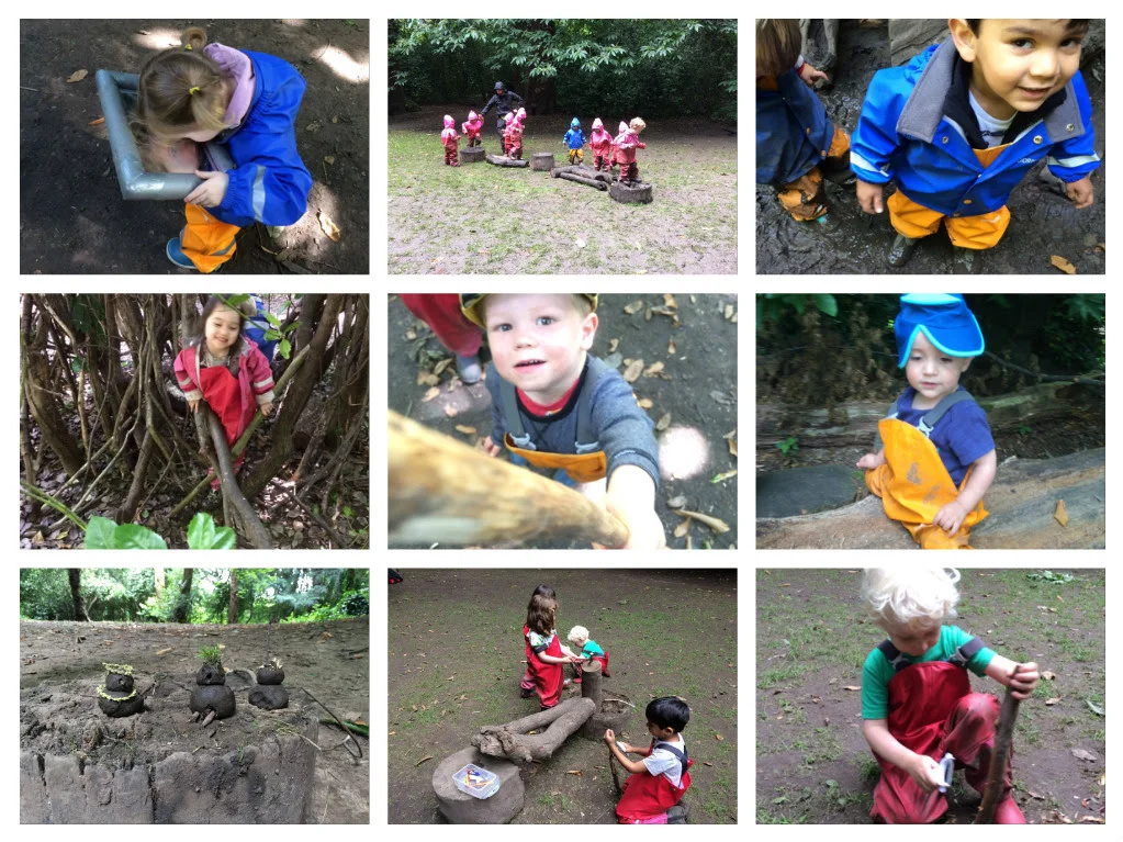 More fun about transport in the forest