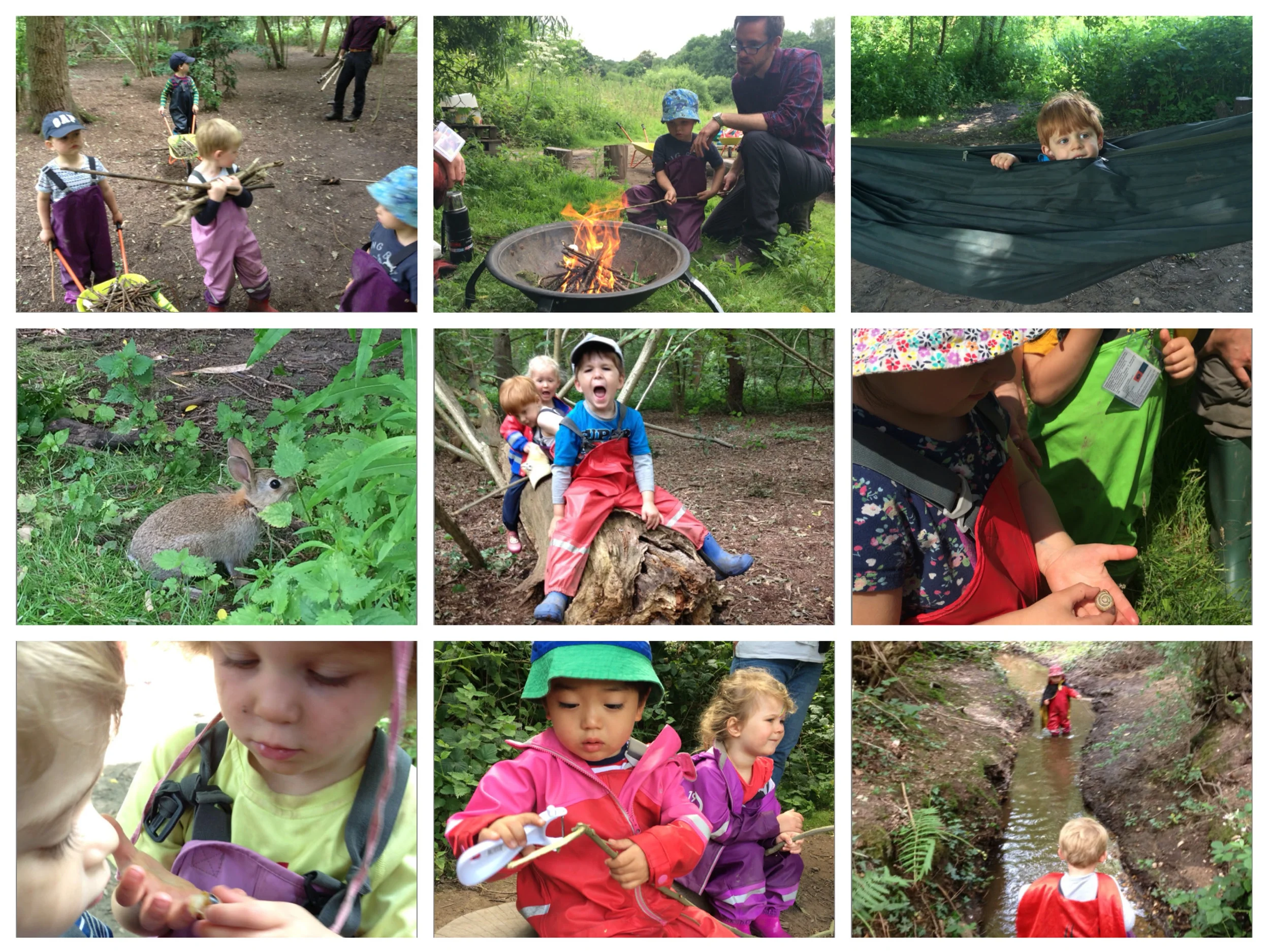 What a gorgeous week it’s been in the forest!