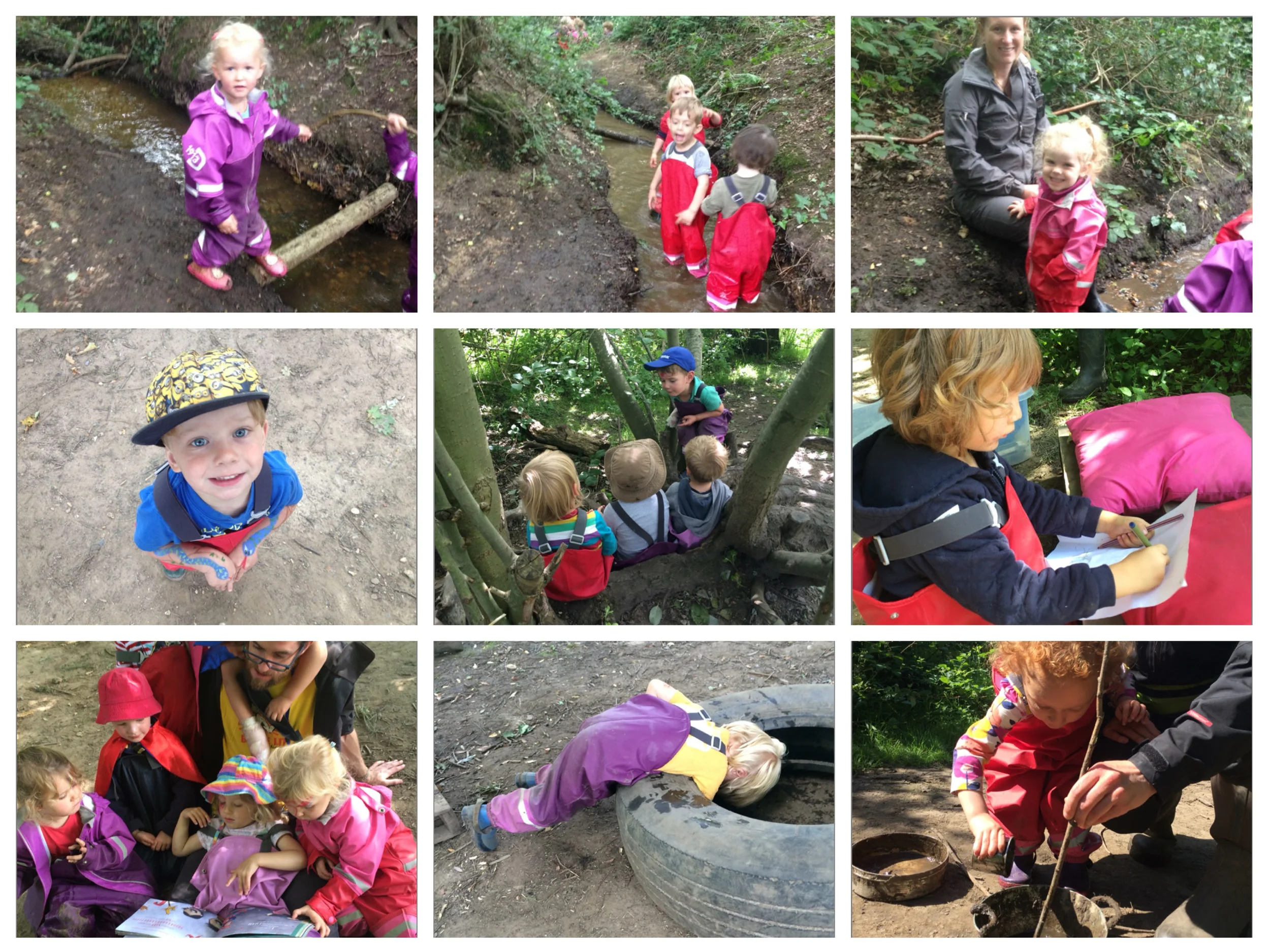 Busy little forest folk :-)