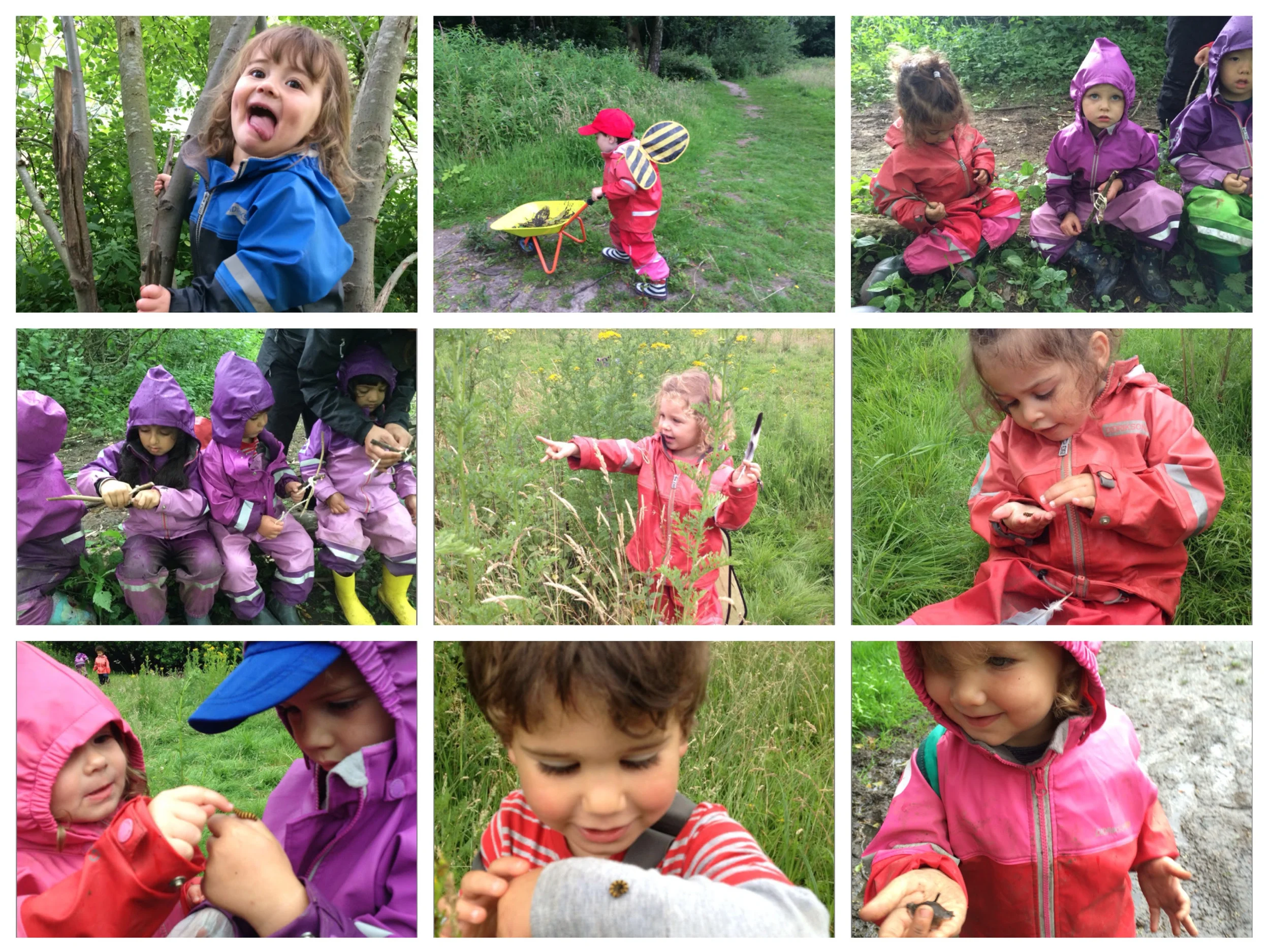 Our little explorers