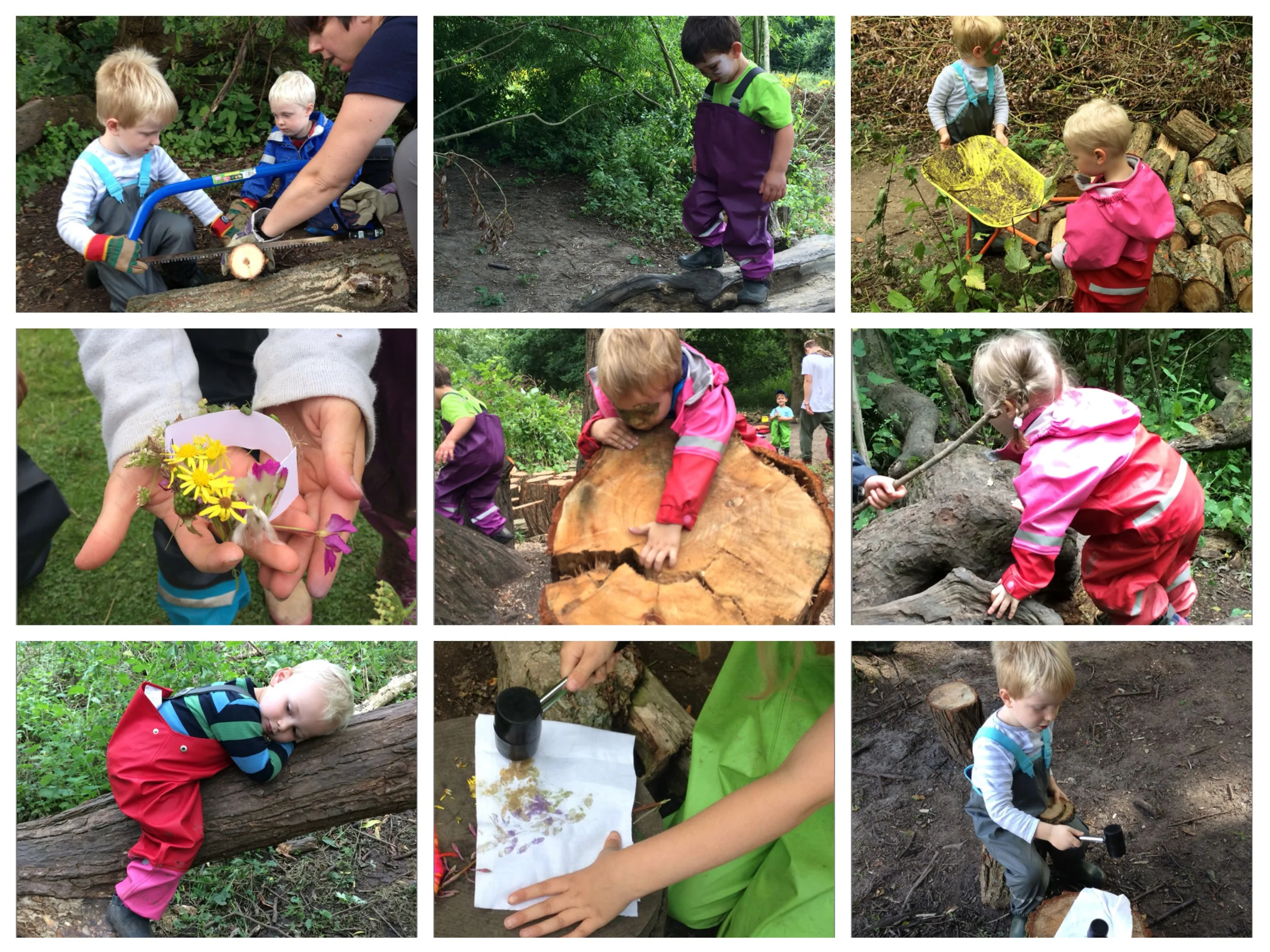 Busy little forest folk