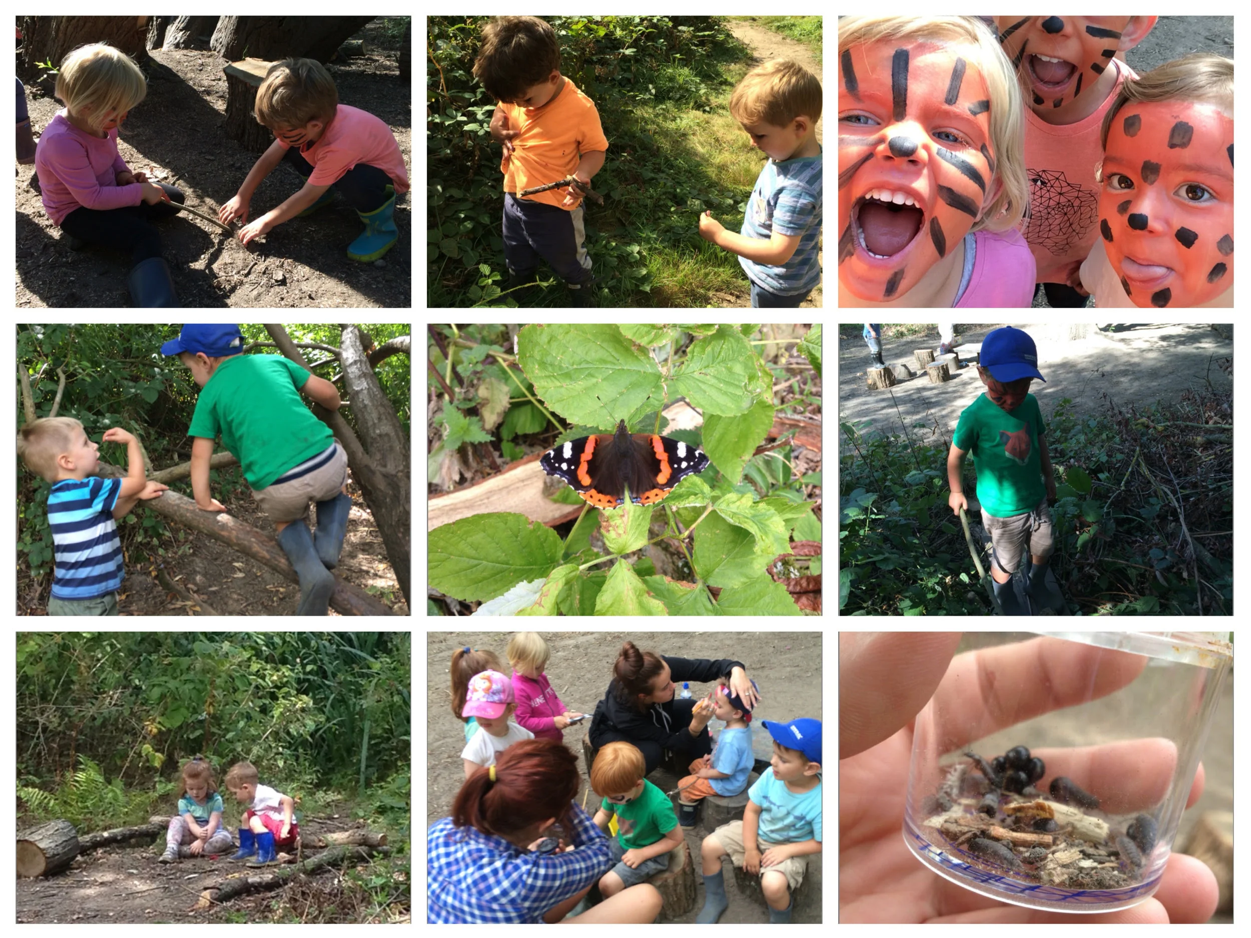 Busy in the forest