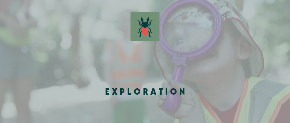 Exploration