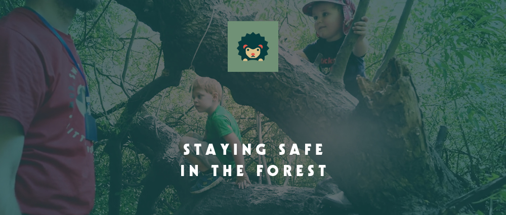 Staying safe in the forest
