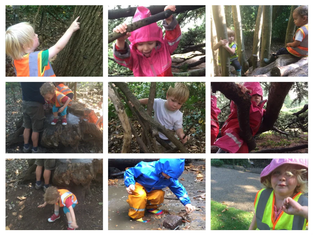 Fun in the forest