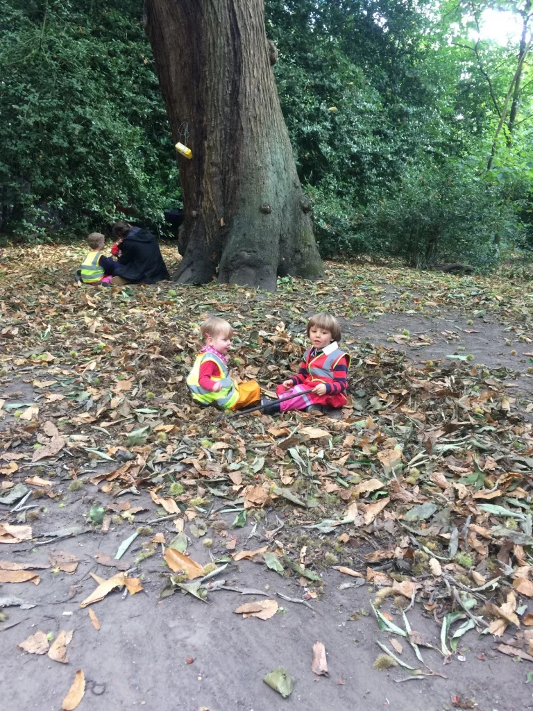 Enjoying the leaves in the forest