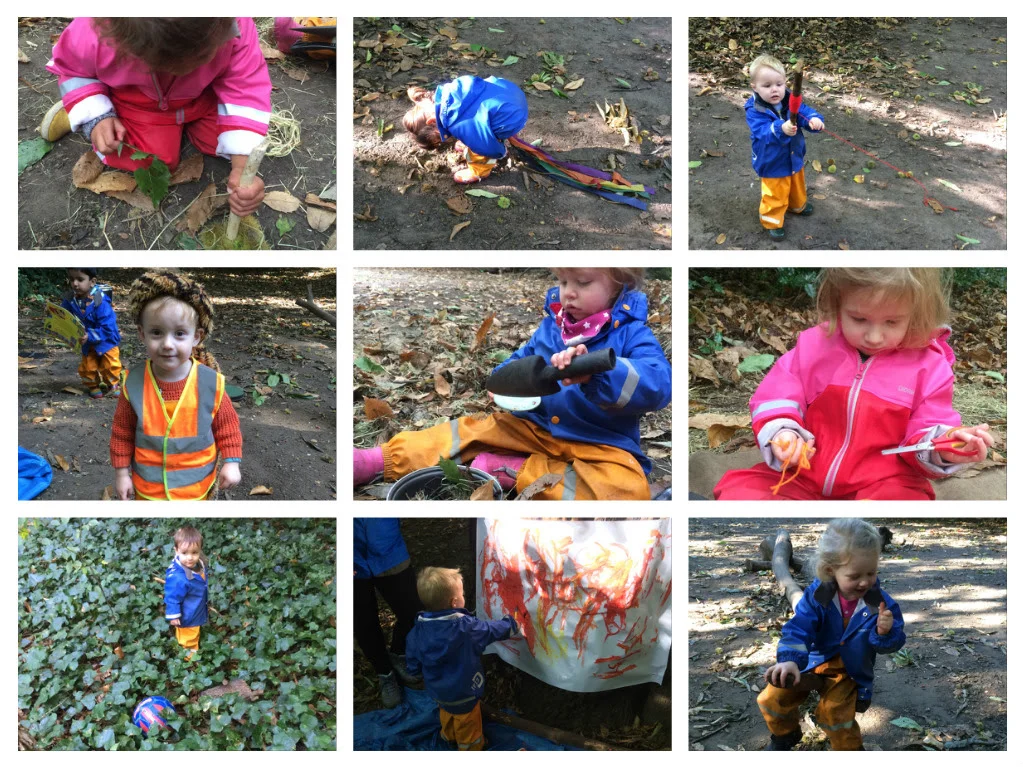 Busy in the forest