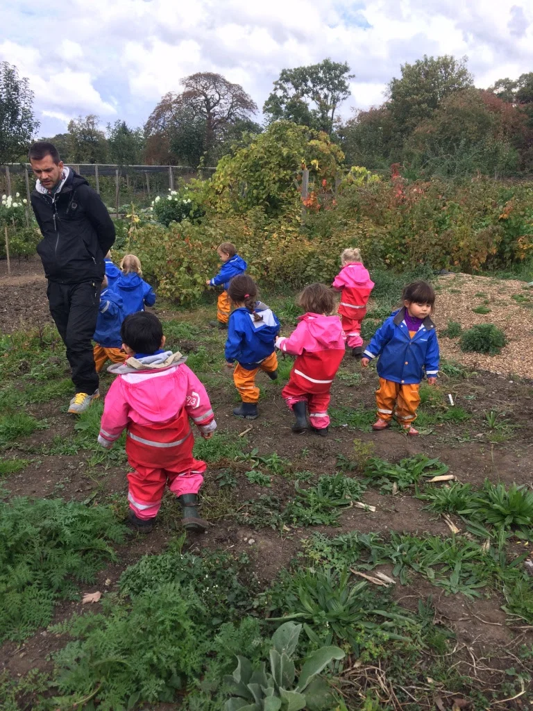 Little explorers