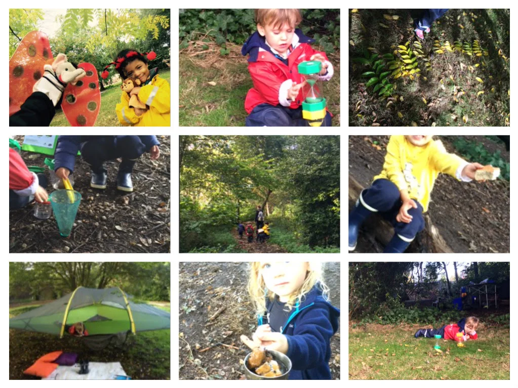 Fun in the forest!