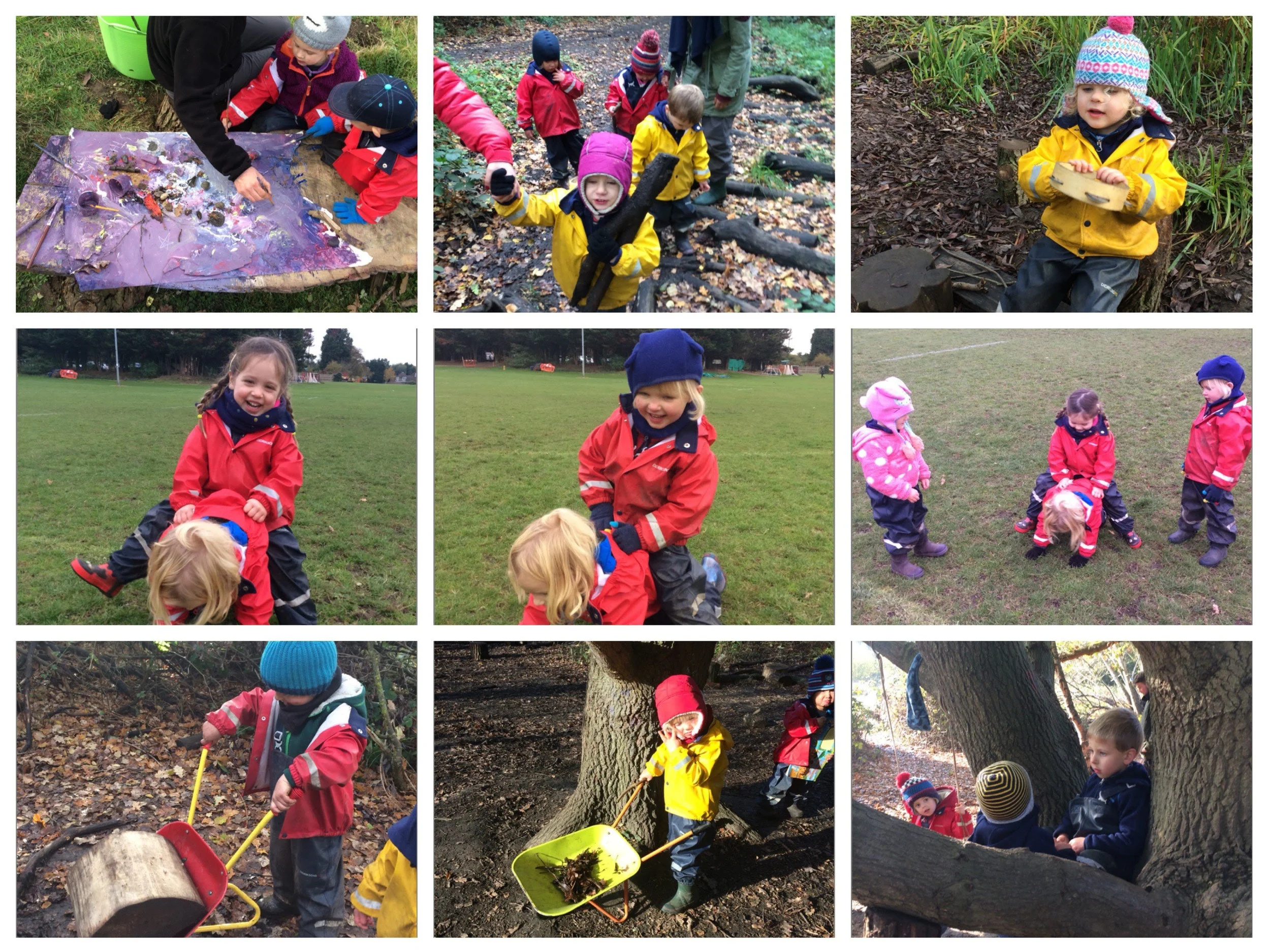 Fun in the forest