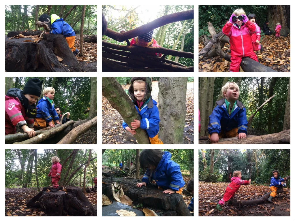 Busy in the forest