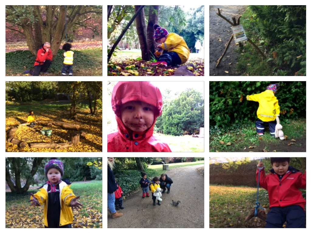 Busy in the forest