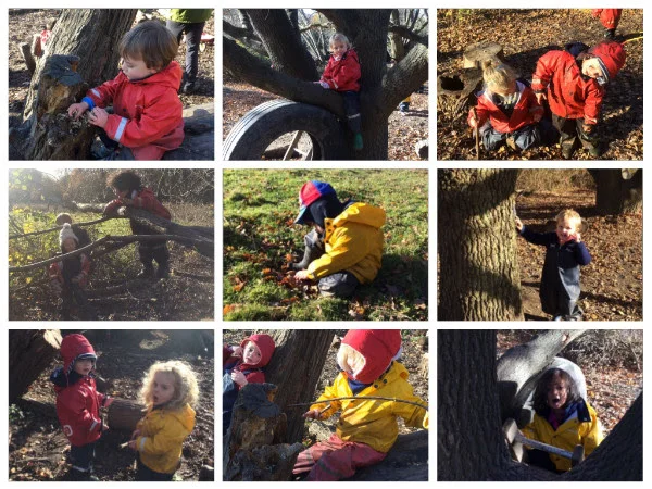 Fun in the forest