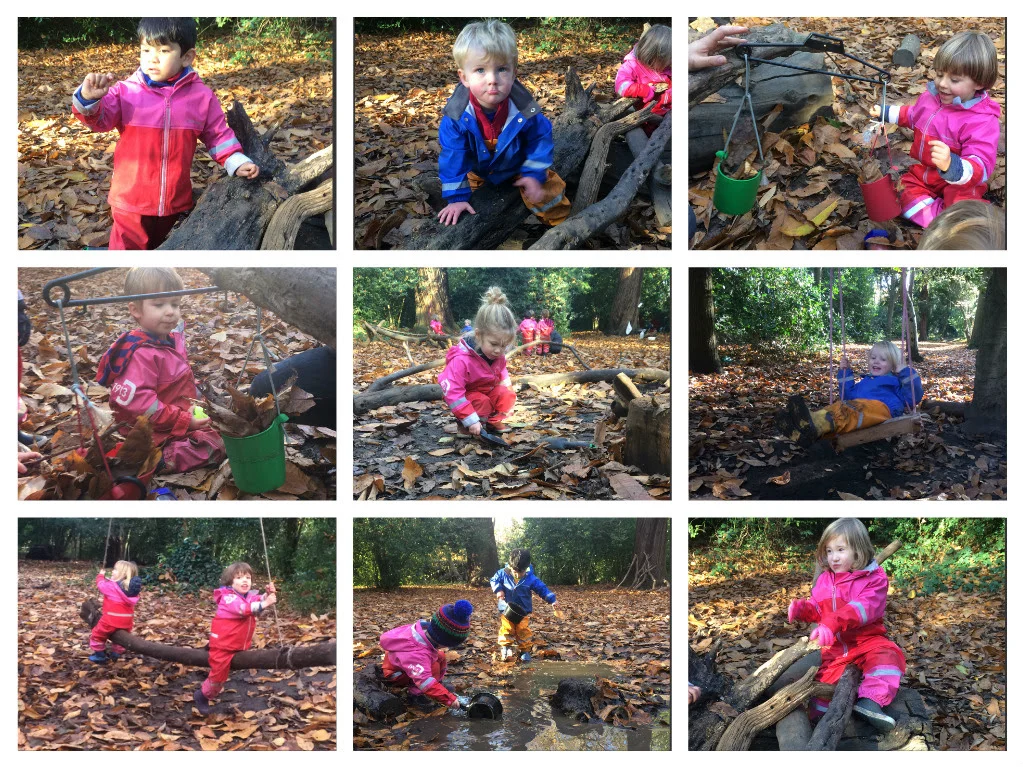 Adventures in the forest