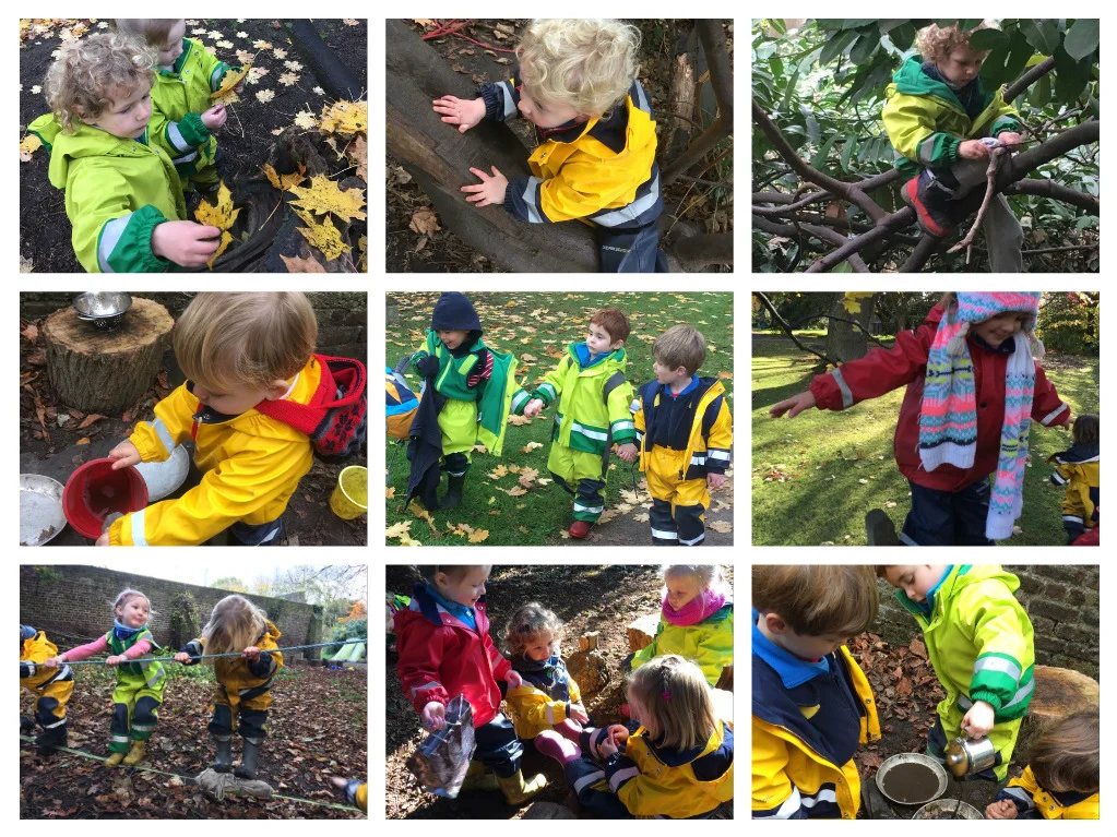 Fulham - Colours of the Forest